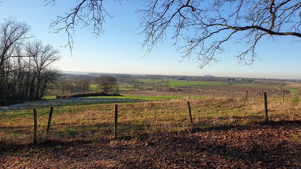 Landschapsfoto glooiend met bomen